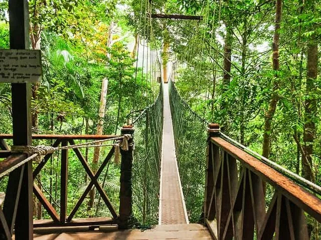 Entrée de la passerelle dans la canopée du parc national de Taman Negara.