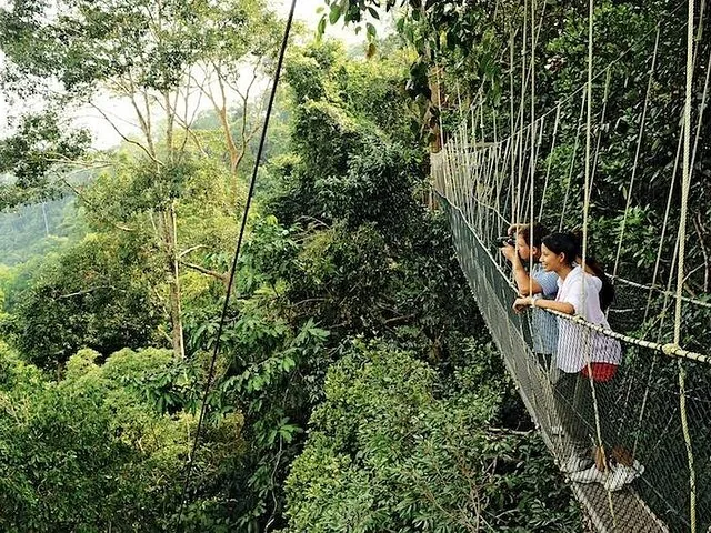 Turistas en la pasarela del dosel, muy por encima del suelo de la selva en Taman Negara.