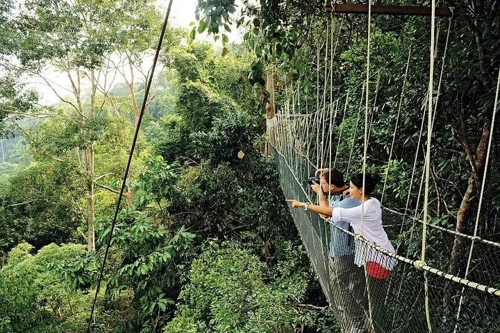 Touristes marchant sur la passerelle dans la canopée du parc national de Taman Negara.