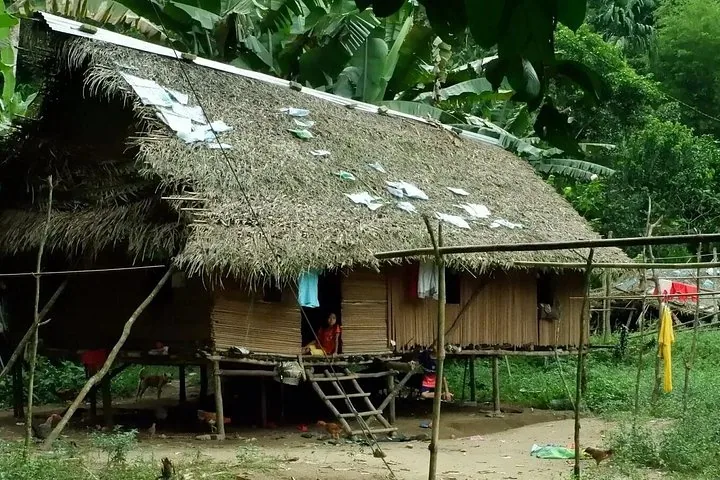 Maison traditionnelle au toit de chaume dans un village autochtone à Taman Negara.